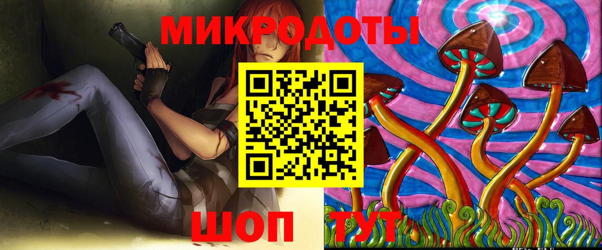 Псилоцибиновые грибы мицелий Канаш
